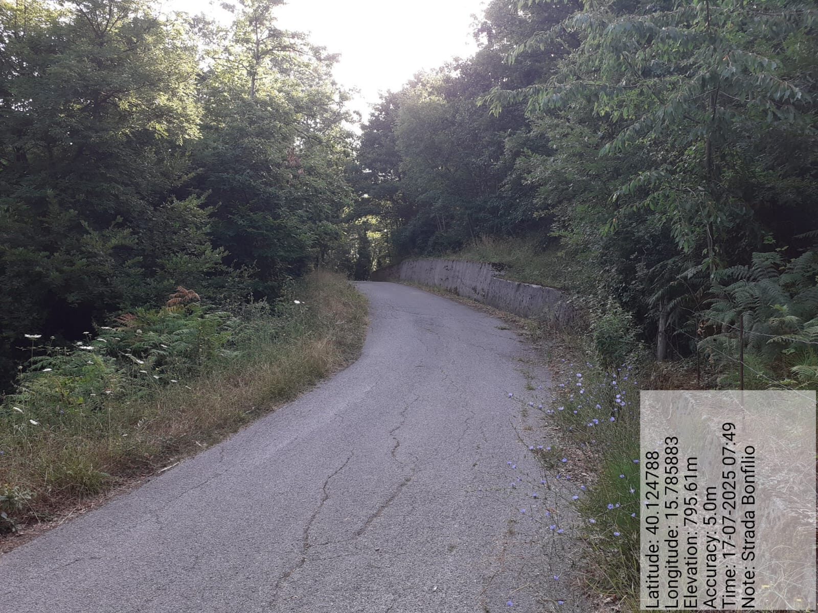 Galleria Fotografica Immagine