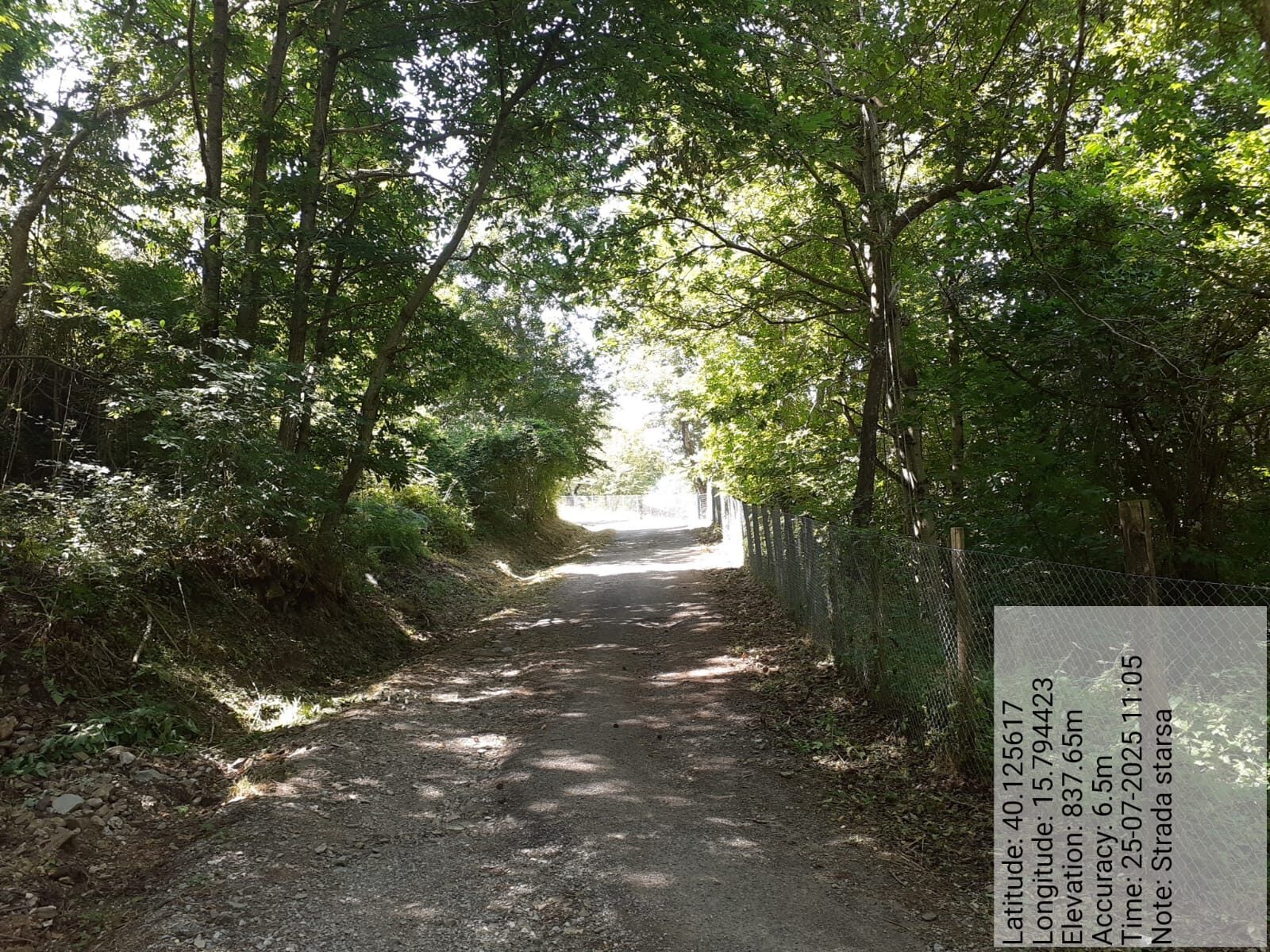 Galleria Fotografica Immagine