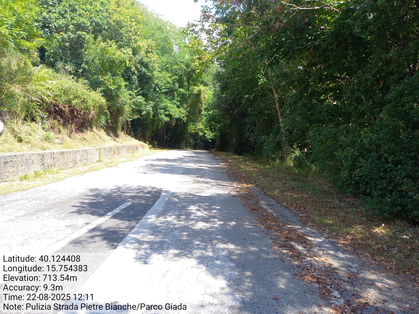 Galleria Fotografica Immagine