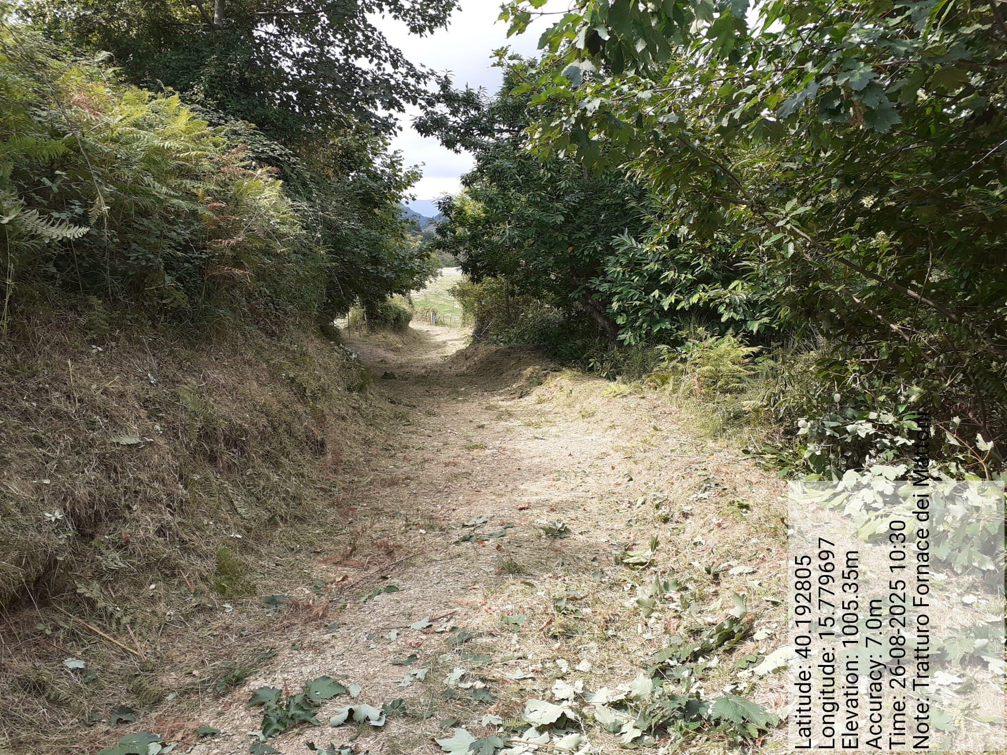 Galleria Fotografica Immagine