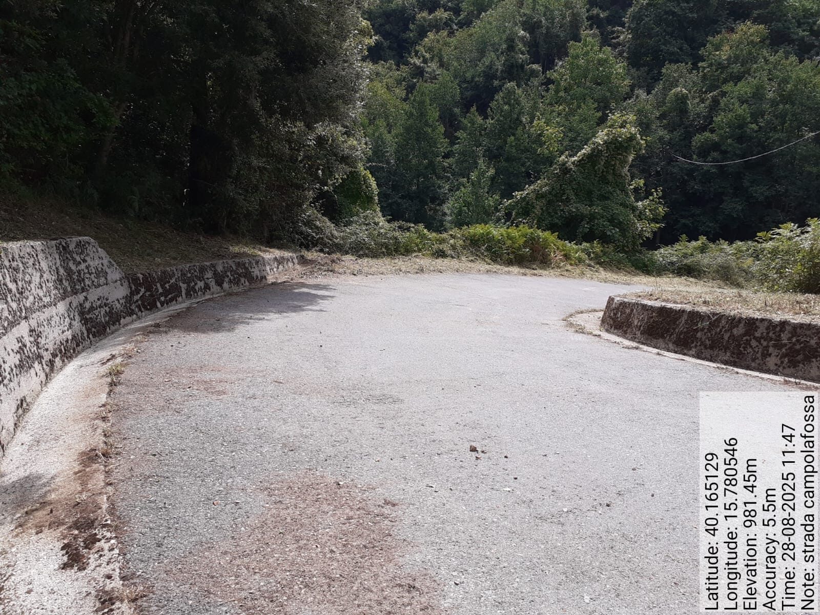 Galleria Fotografica Immagine