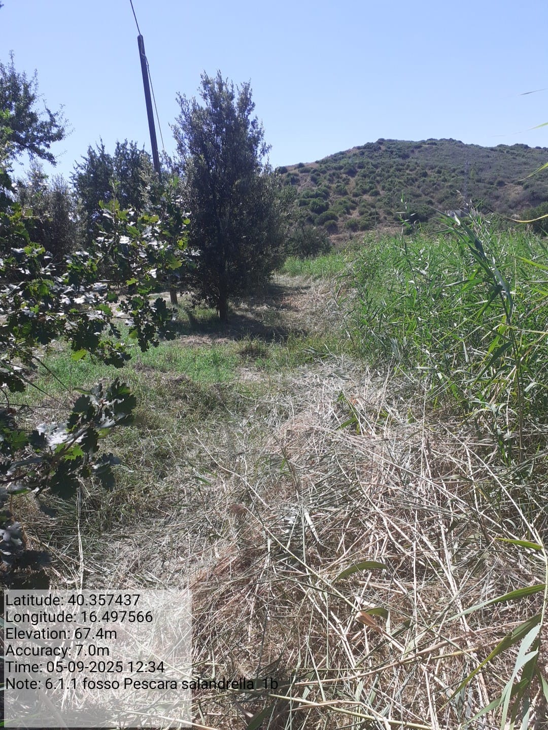 Galleria Fotografica Immagine