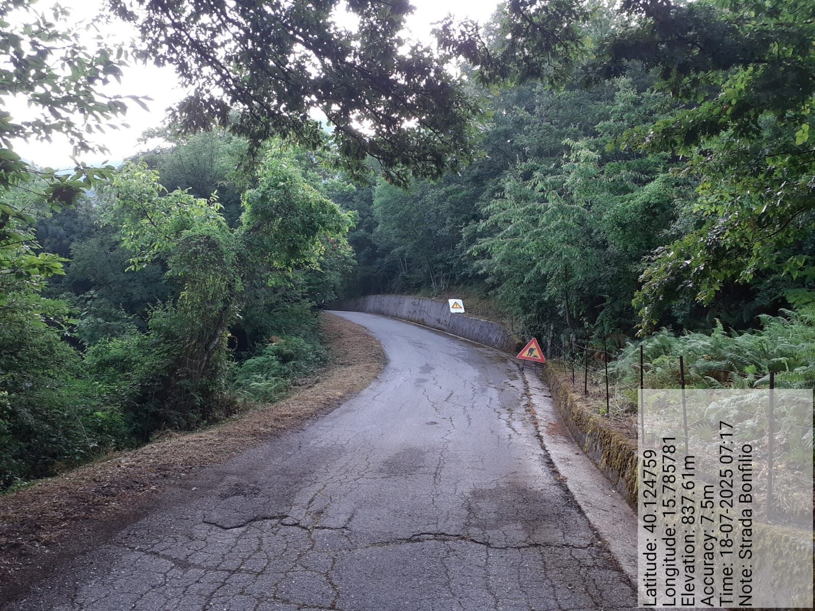 Galleria Fotografica Immagine