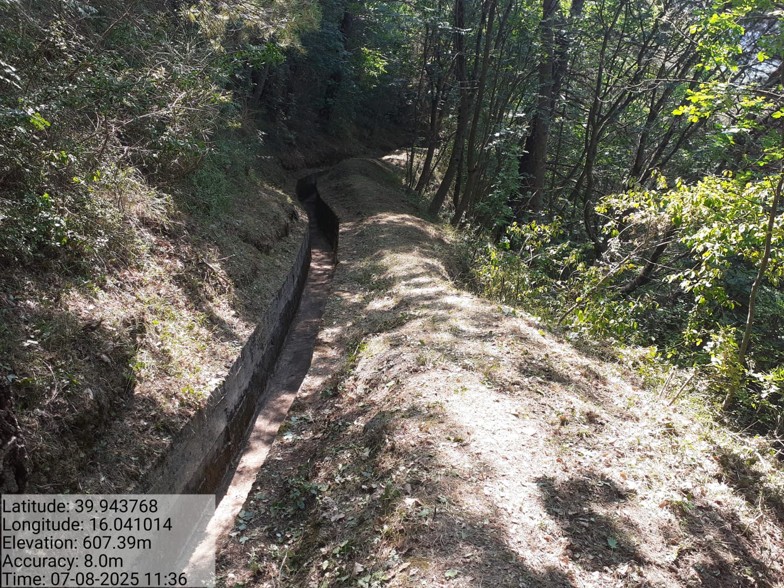 Galleria Fotografica Immagine