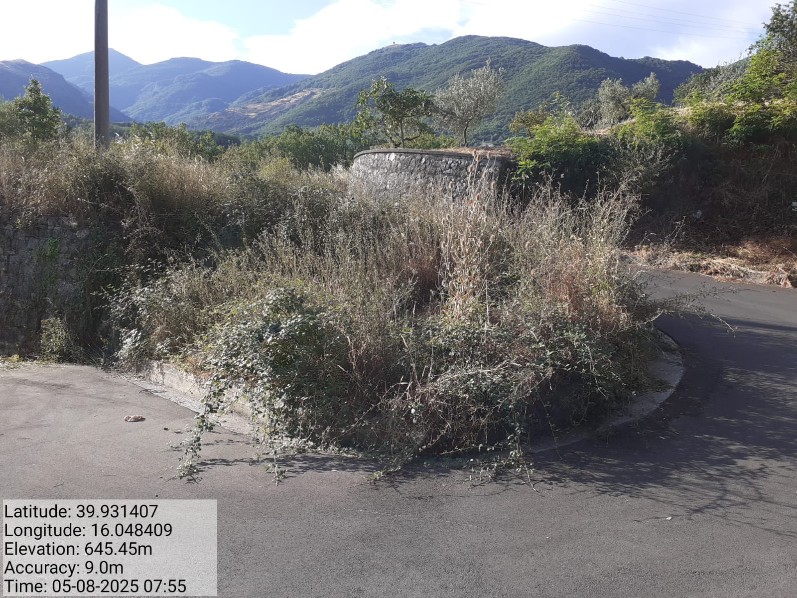 Galleria Fotografica Immagine