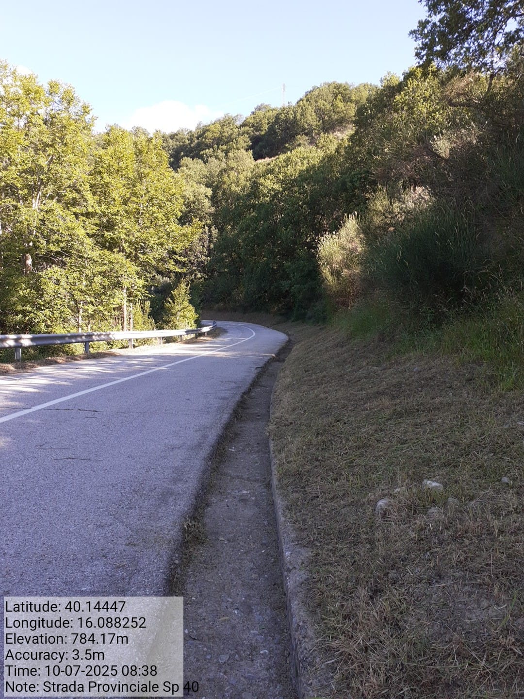 Galleria Fotografica Immagine