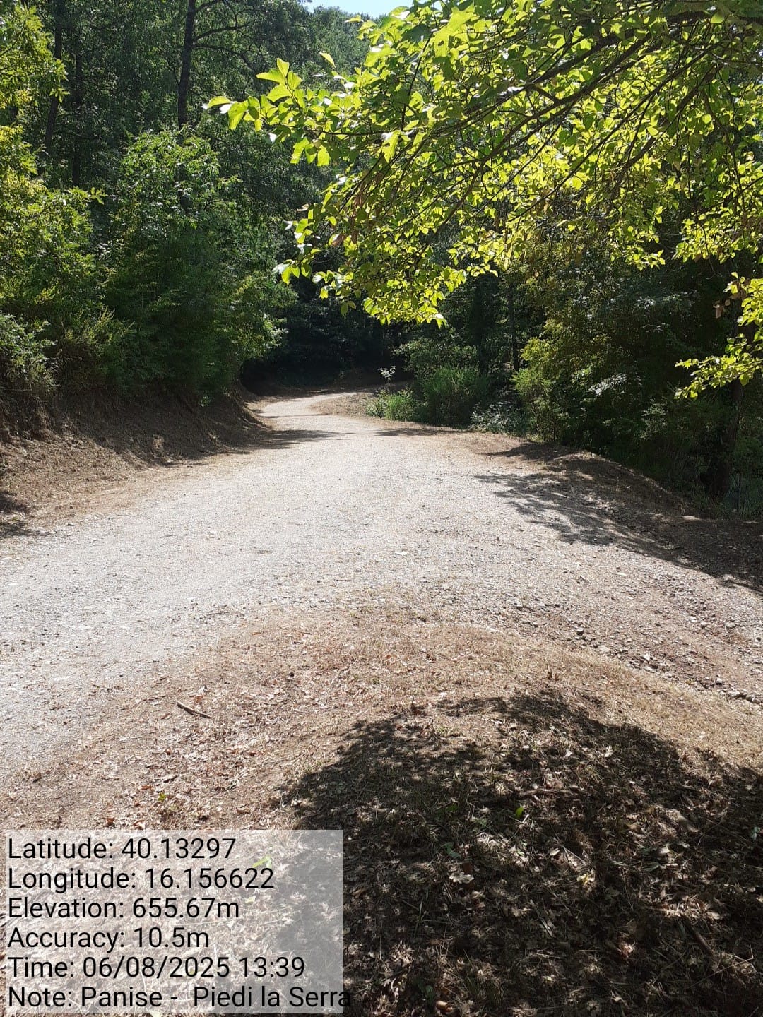 Galleria Fotografica Immagine