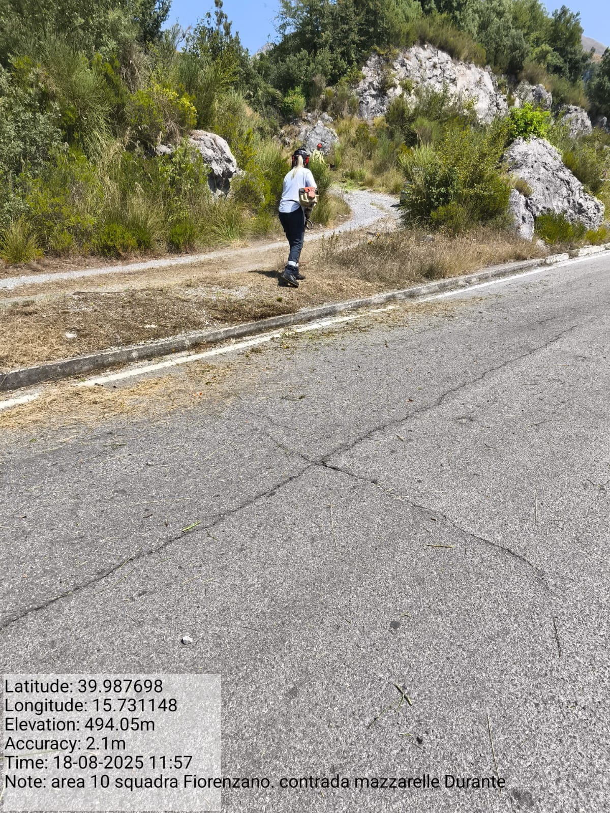 Galleria Fotografica Immagine