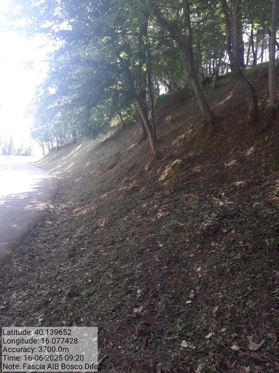 Galleria Fotografica Immagine