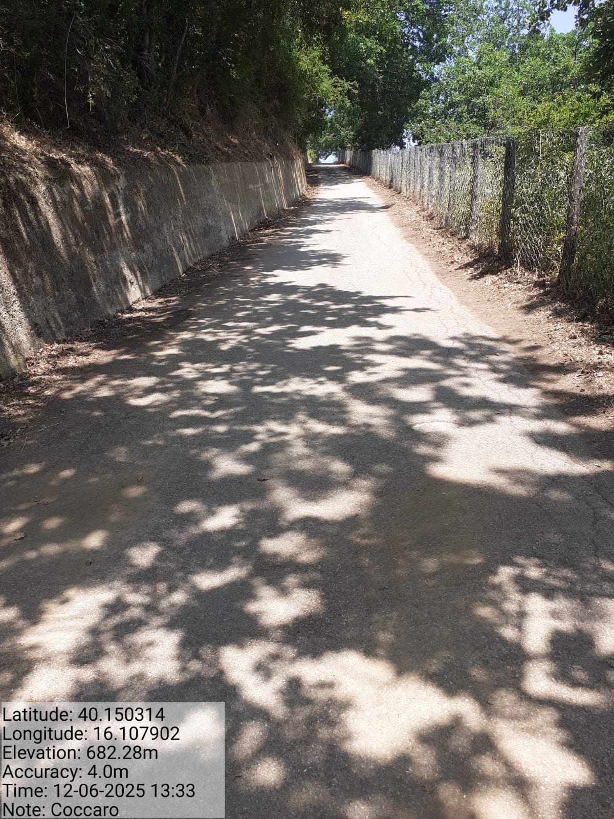 Galleria Fotografica Immagine