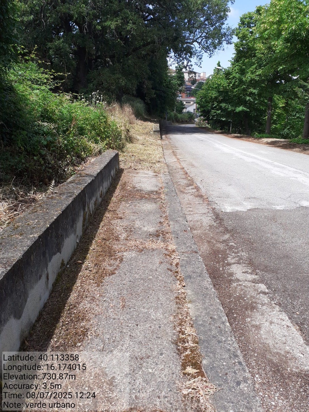 Galleria Fotografica Immagine