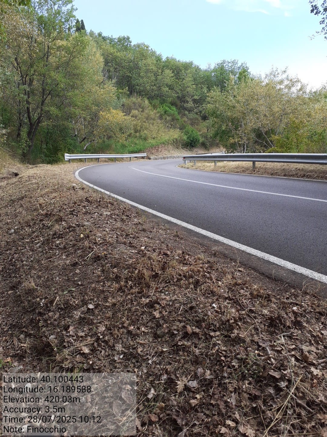 Galleria Fotografica Immagine