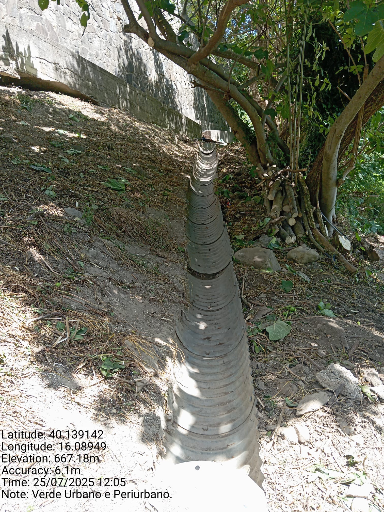 Galleria Fotografica Immagine