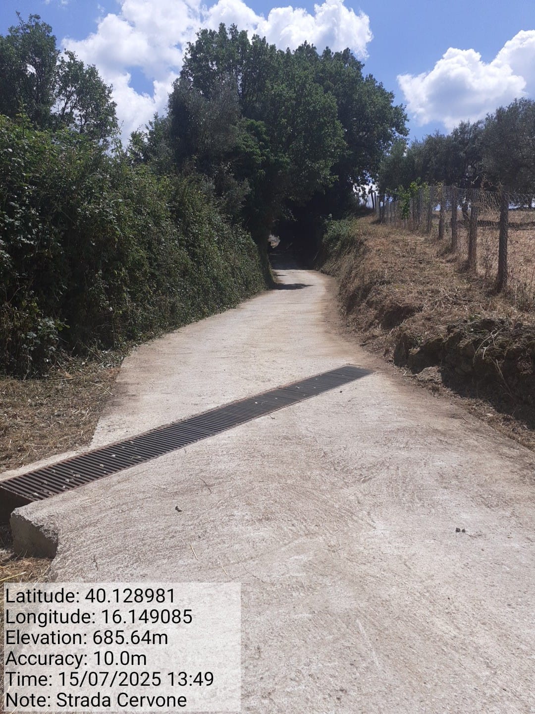 Galleria Fotografica Immagine