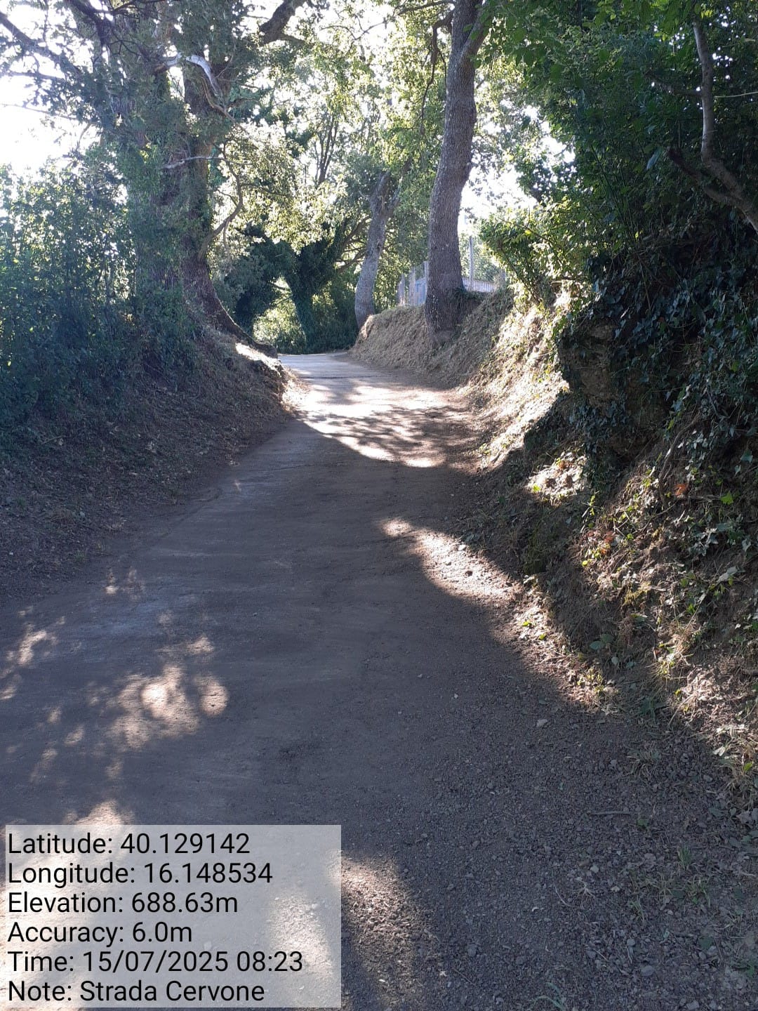 Galleria Fotografica Immagine