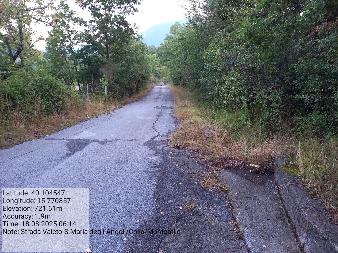 Galleria Fotografica Immagine