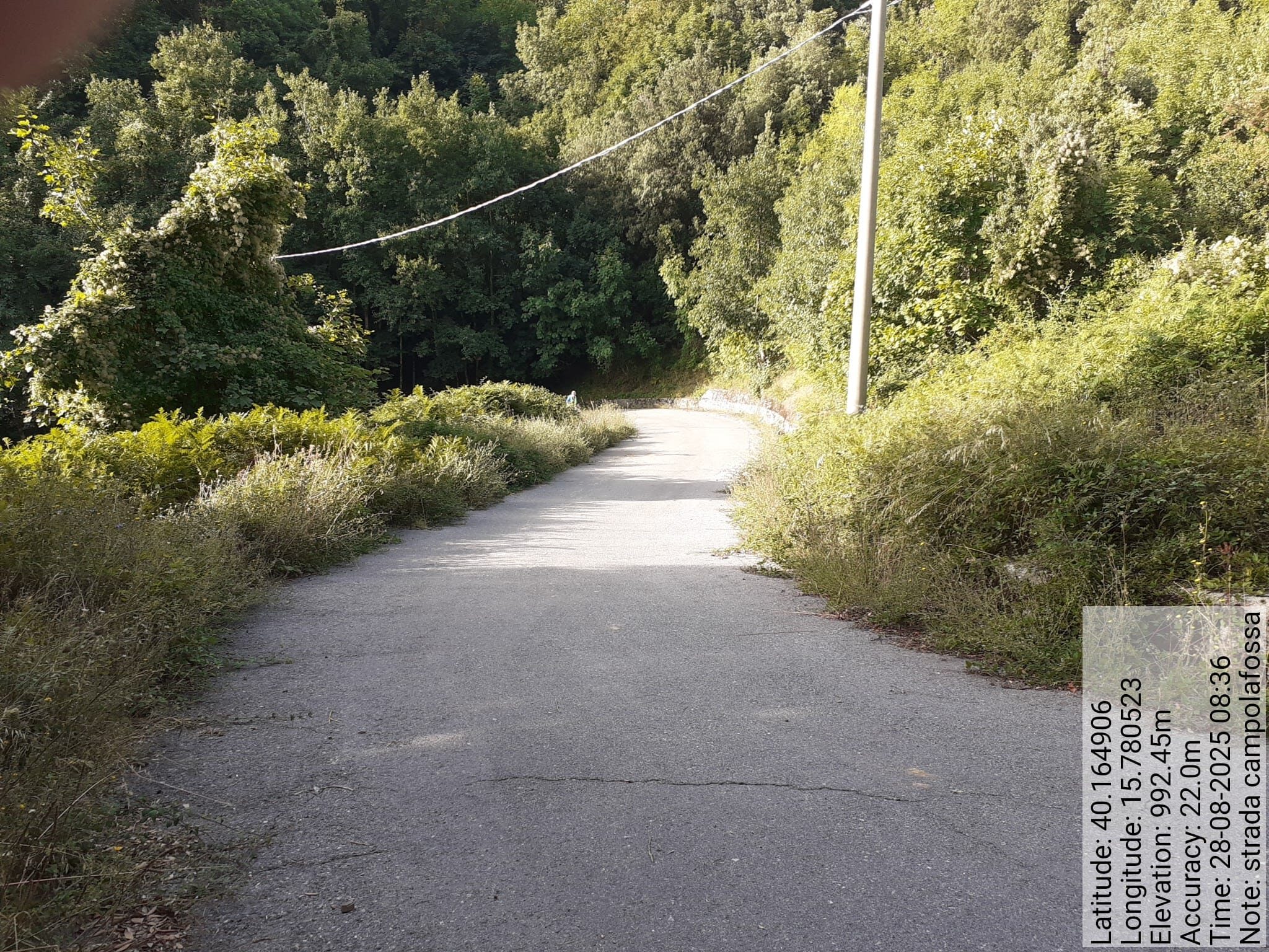 Galleria Fotografica Immagine