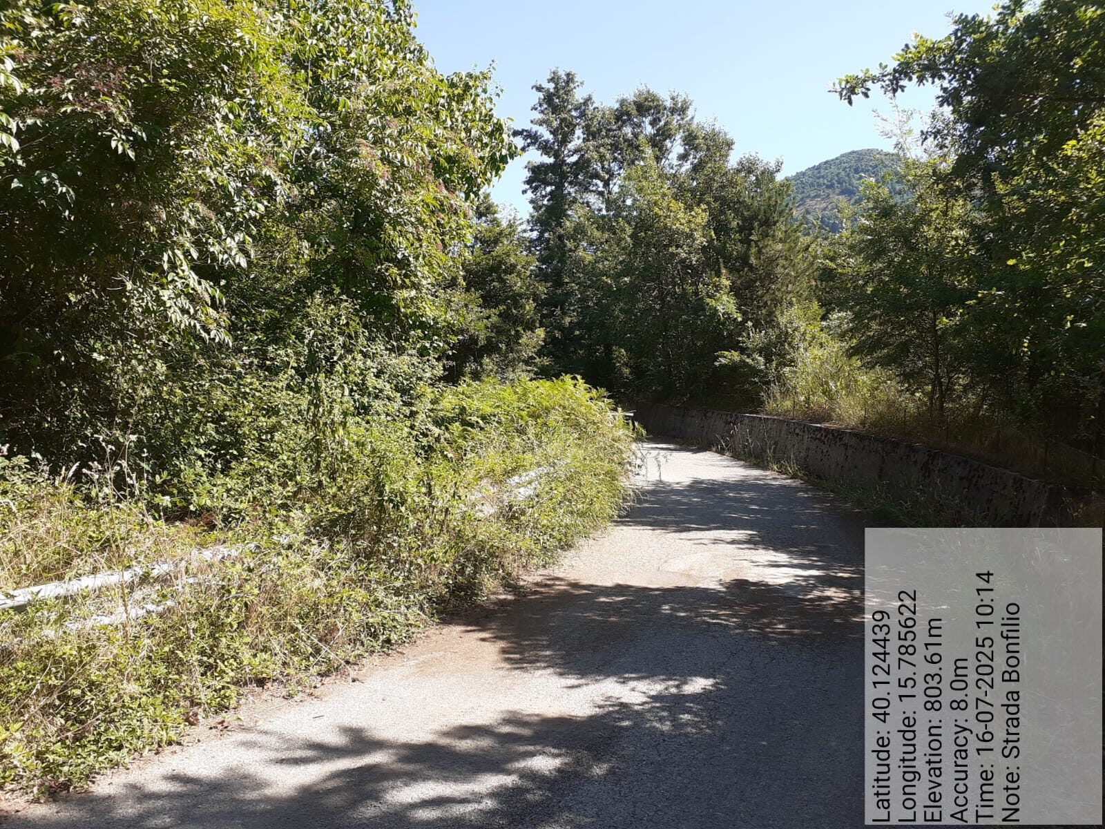 Galleria Fotografica Immagine