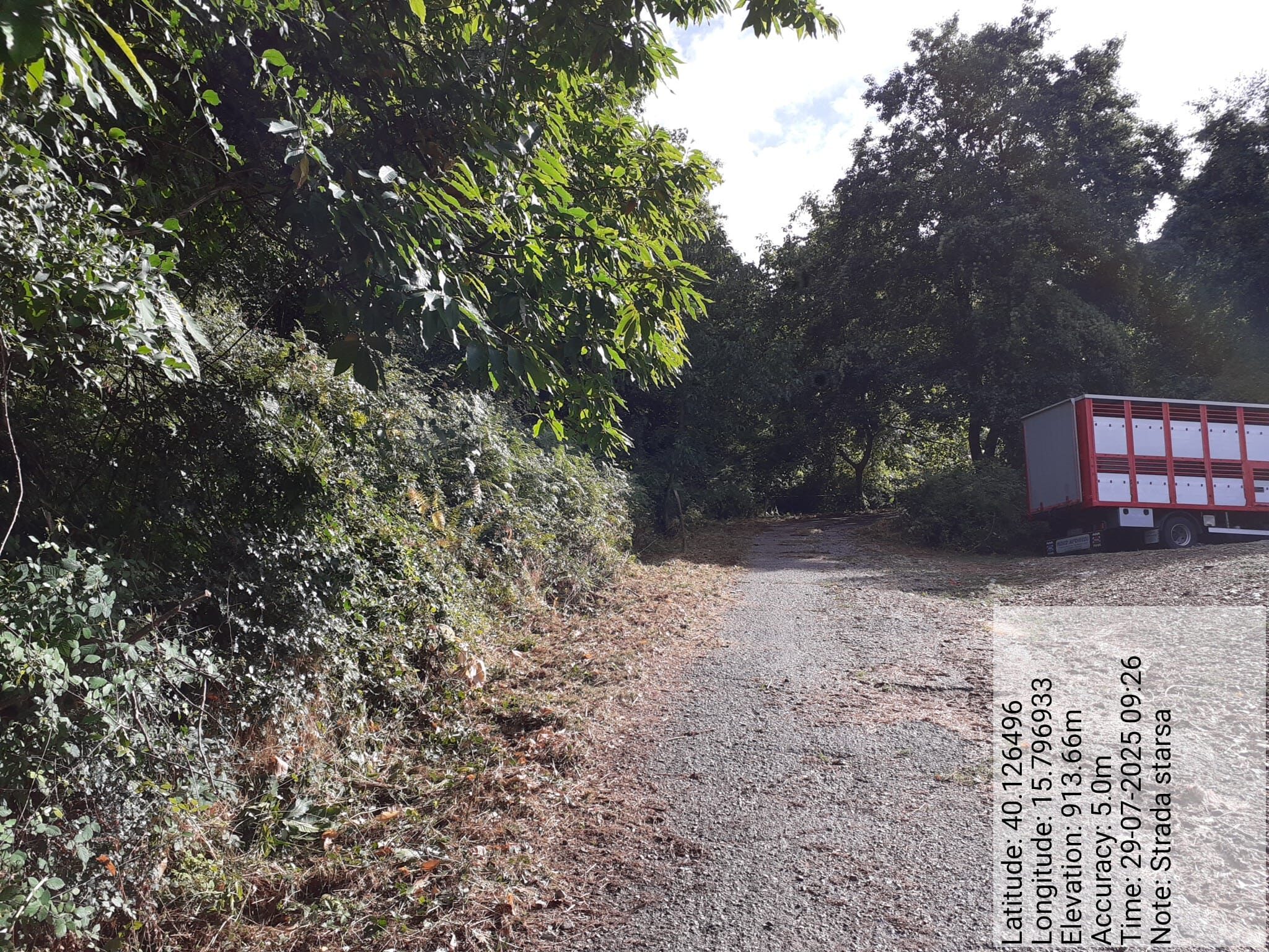 Galleria Fotografica Immagine