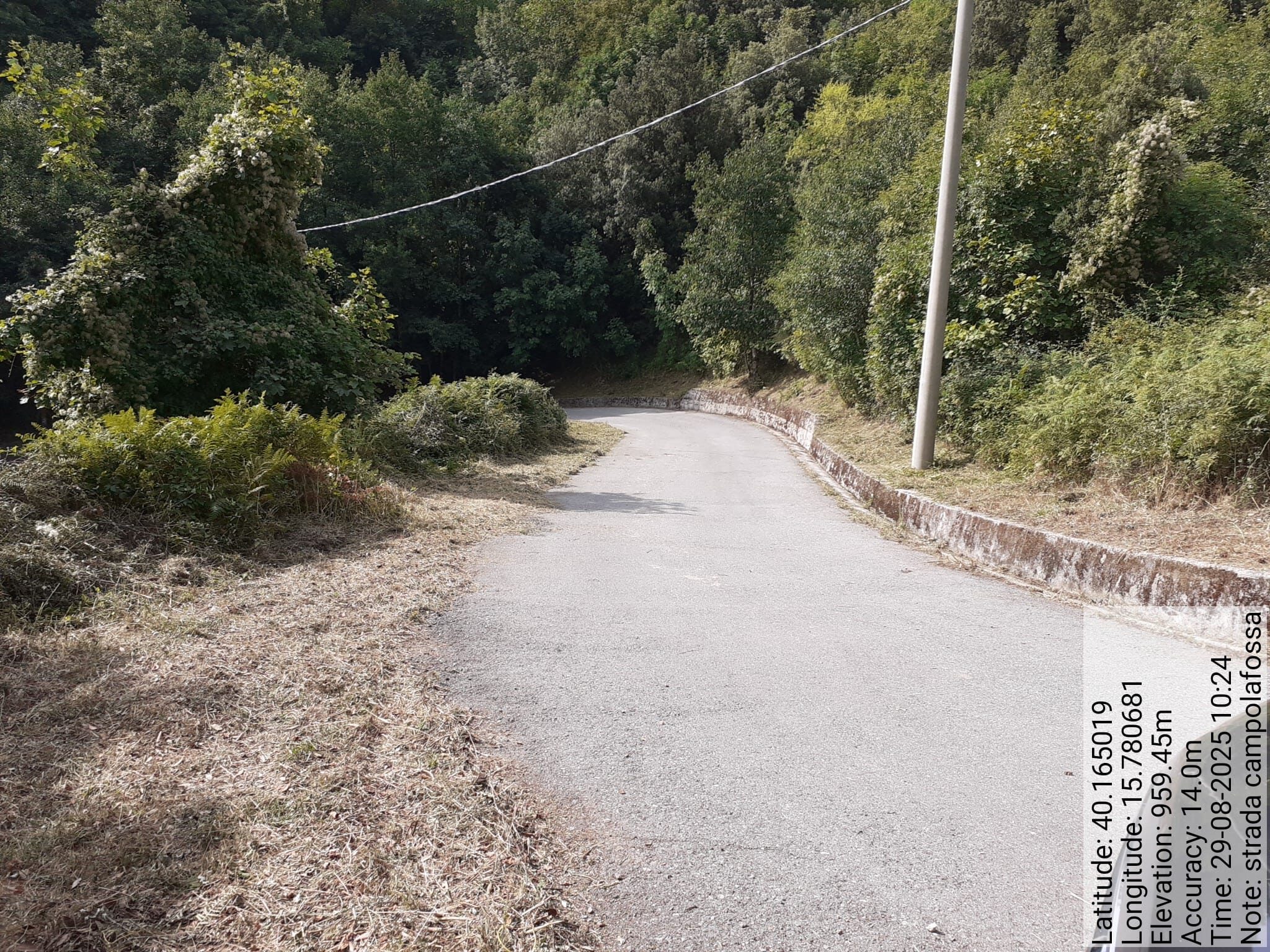 Galleria Fotografica Immagine