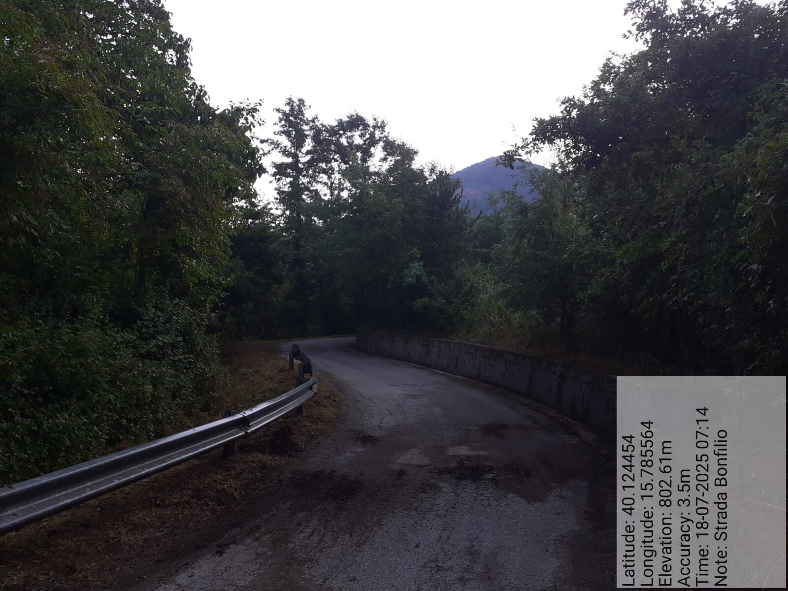 Galleria Fotografica Immagine