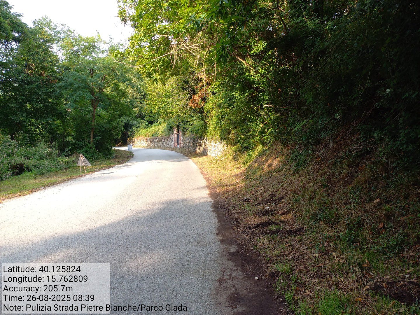 Galleria Fotografica Immagine