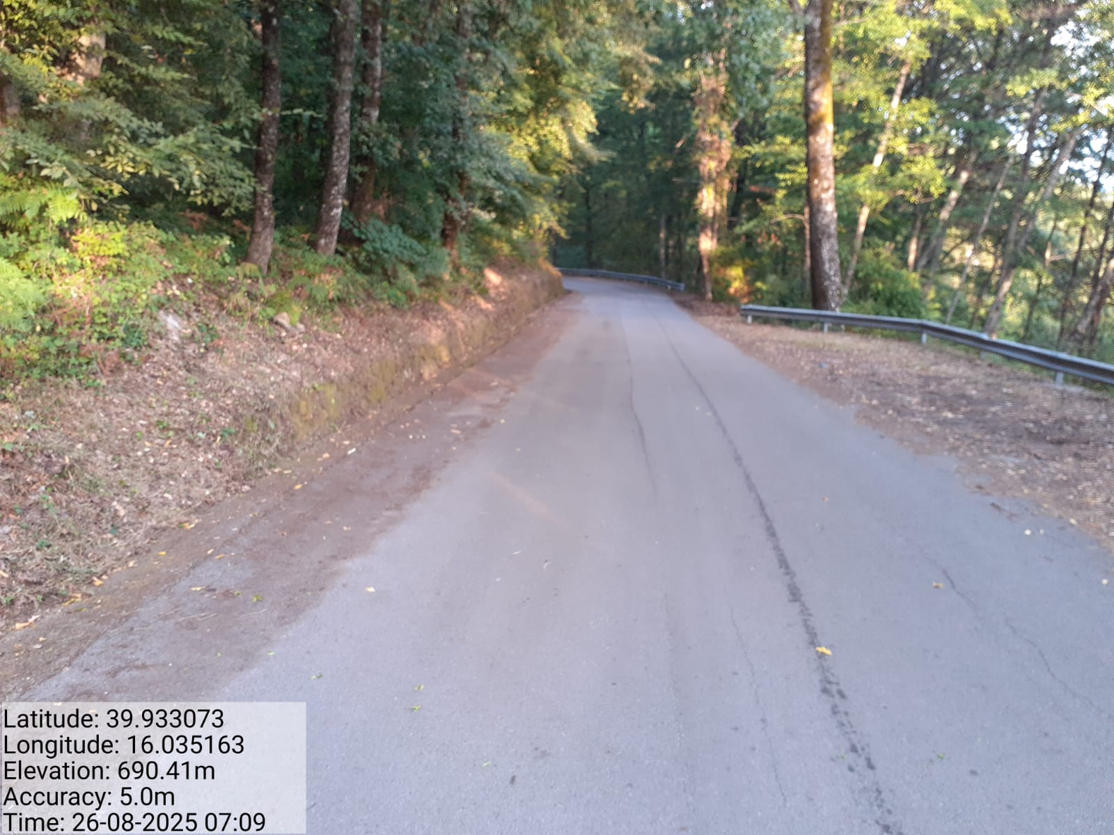 Galleria Fotografica Immagine