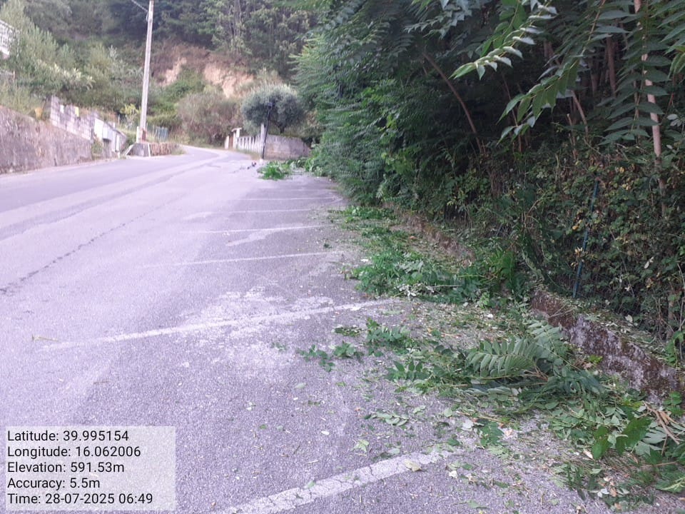 Galleria Fotografica Immagine