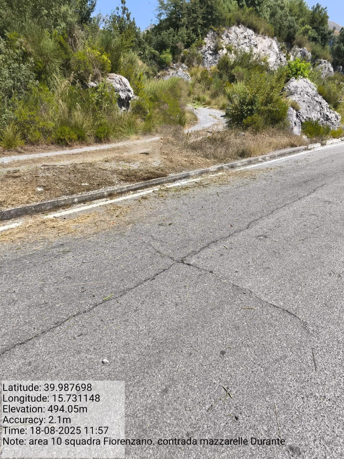 Galleria Fotografica Immagine