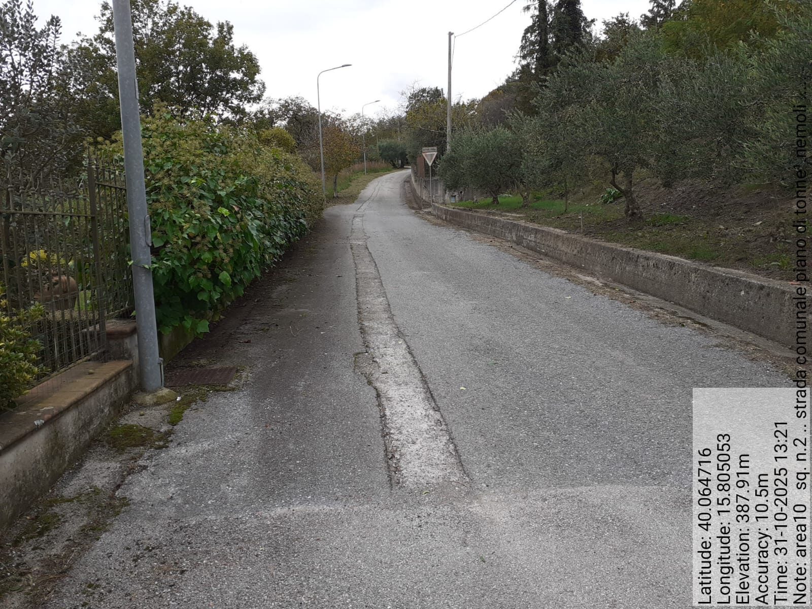 Galleria Fotografica Immagine