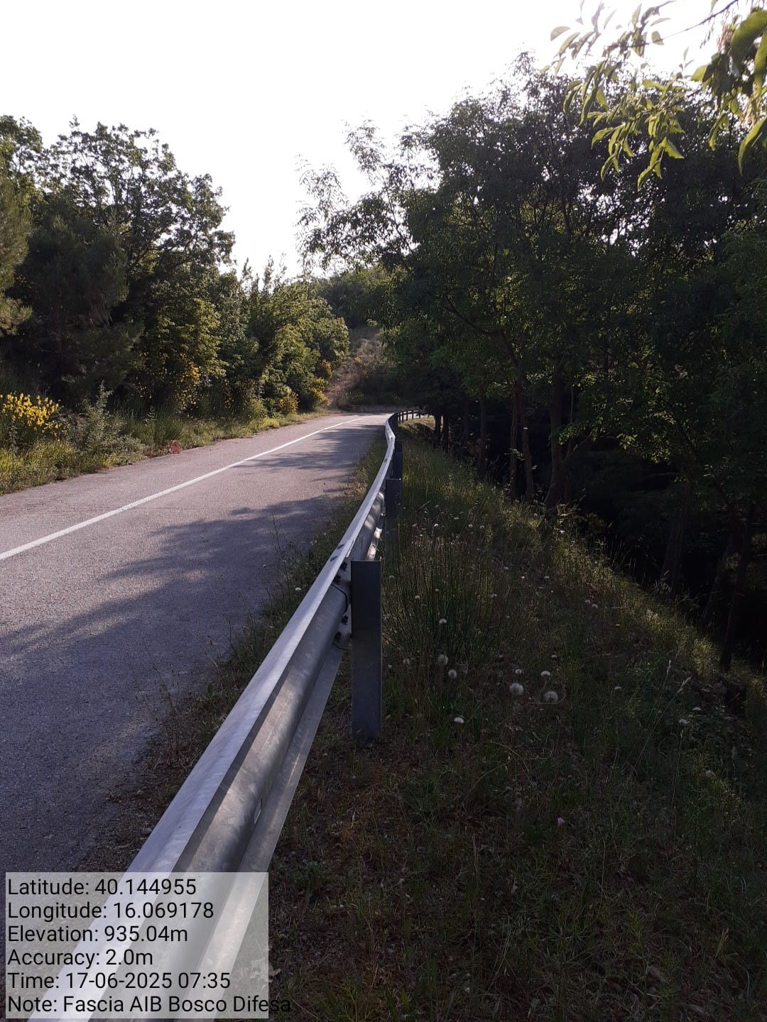 Galleria Fotografica Immagine