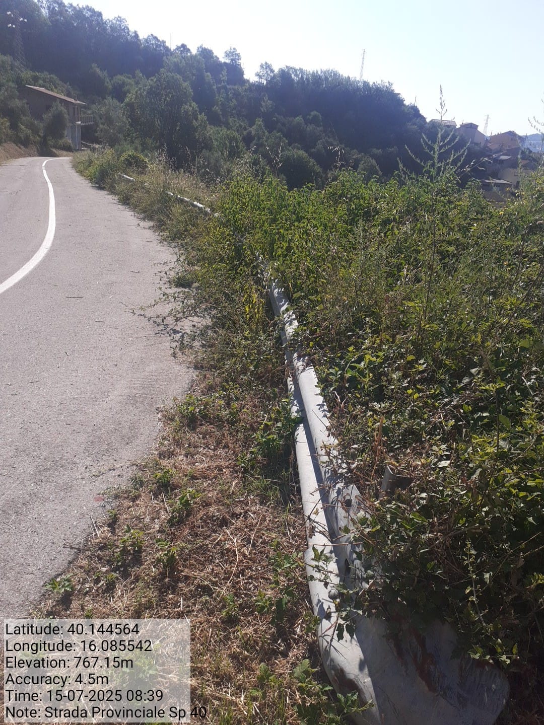 Galleria Fotografica Immagine