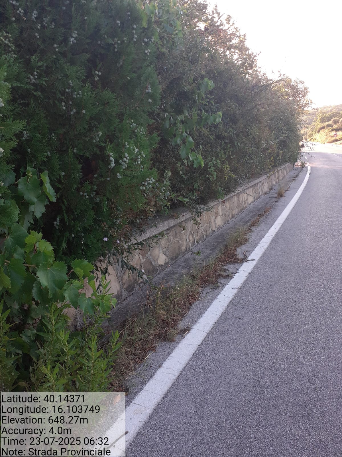 Galleria Fotografica Immagine