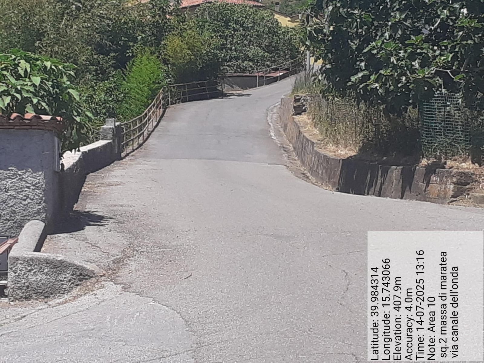 Galleria Fotografica Immagine