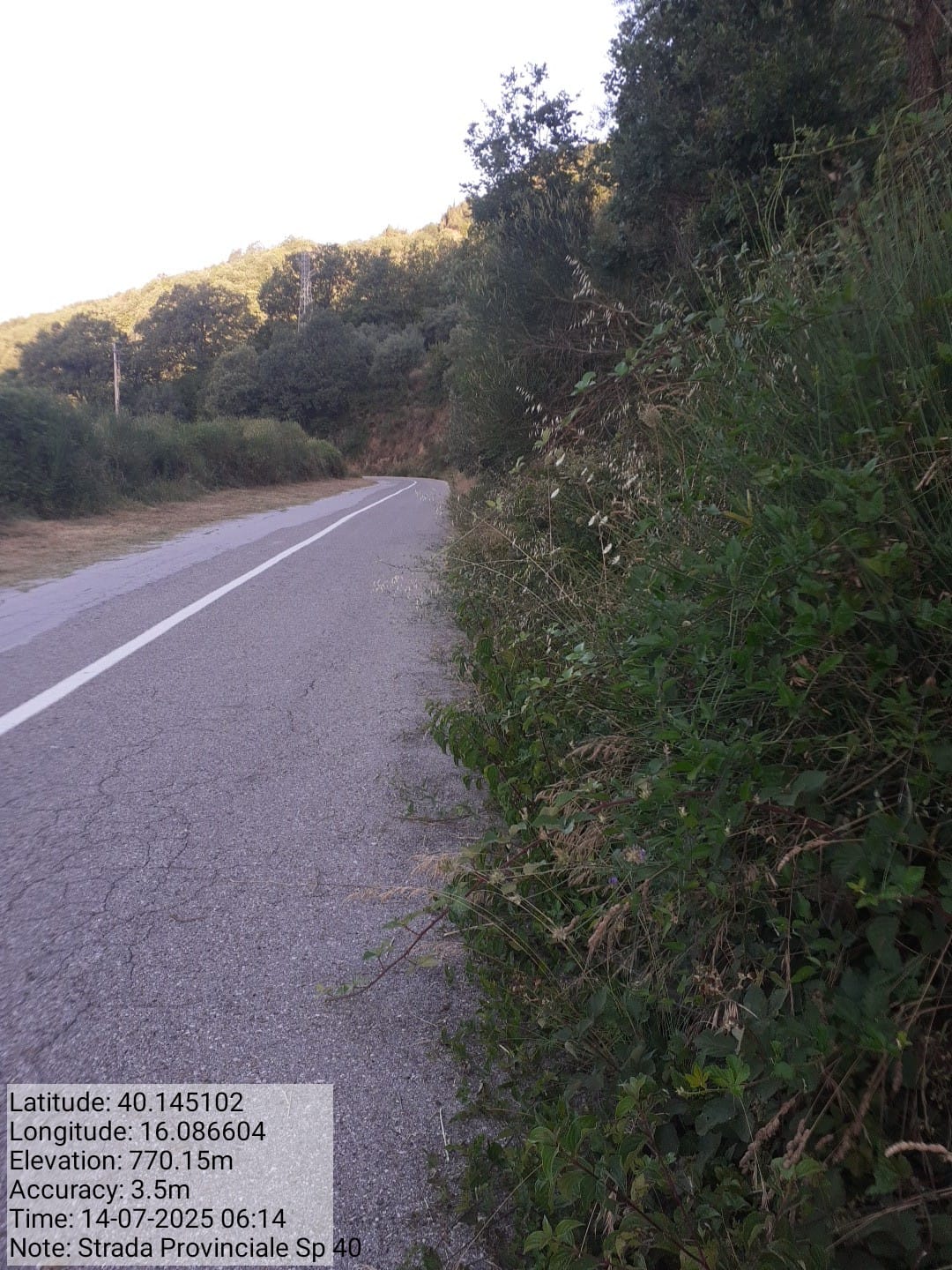 Galleria Fotografica Immagine