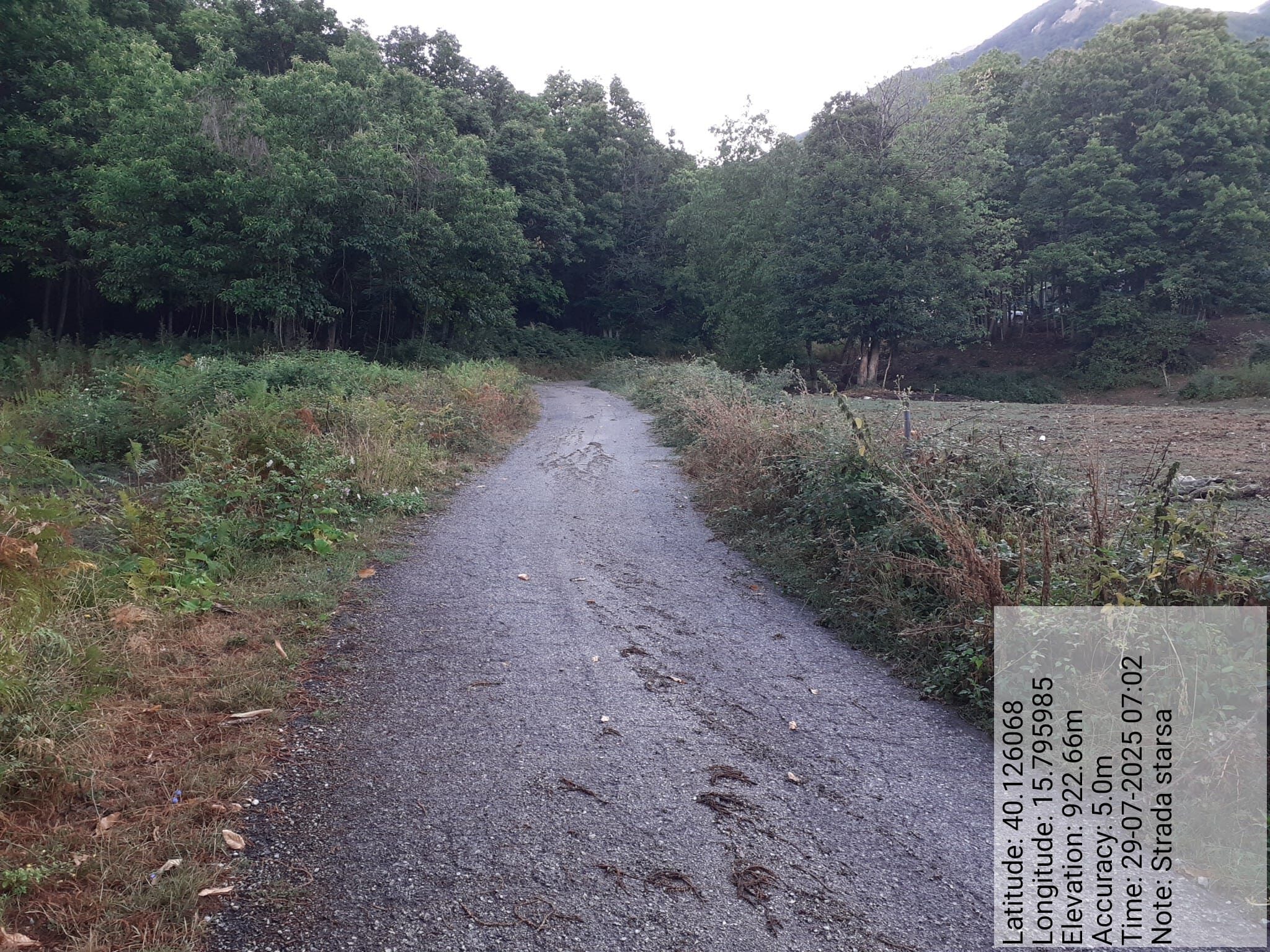 Galleria Fotografica Immagine