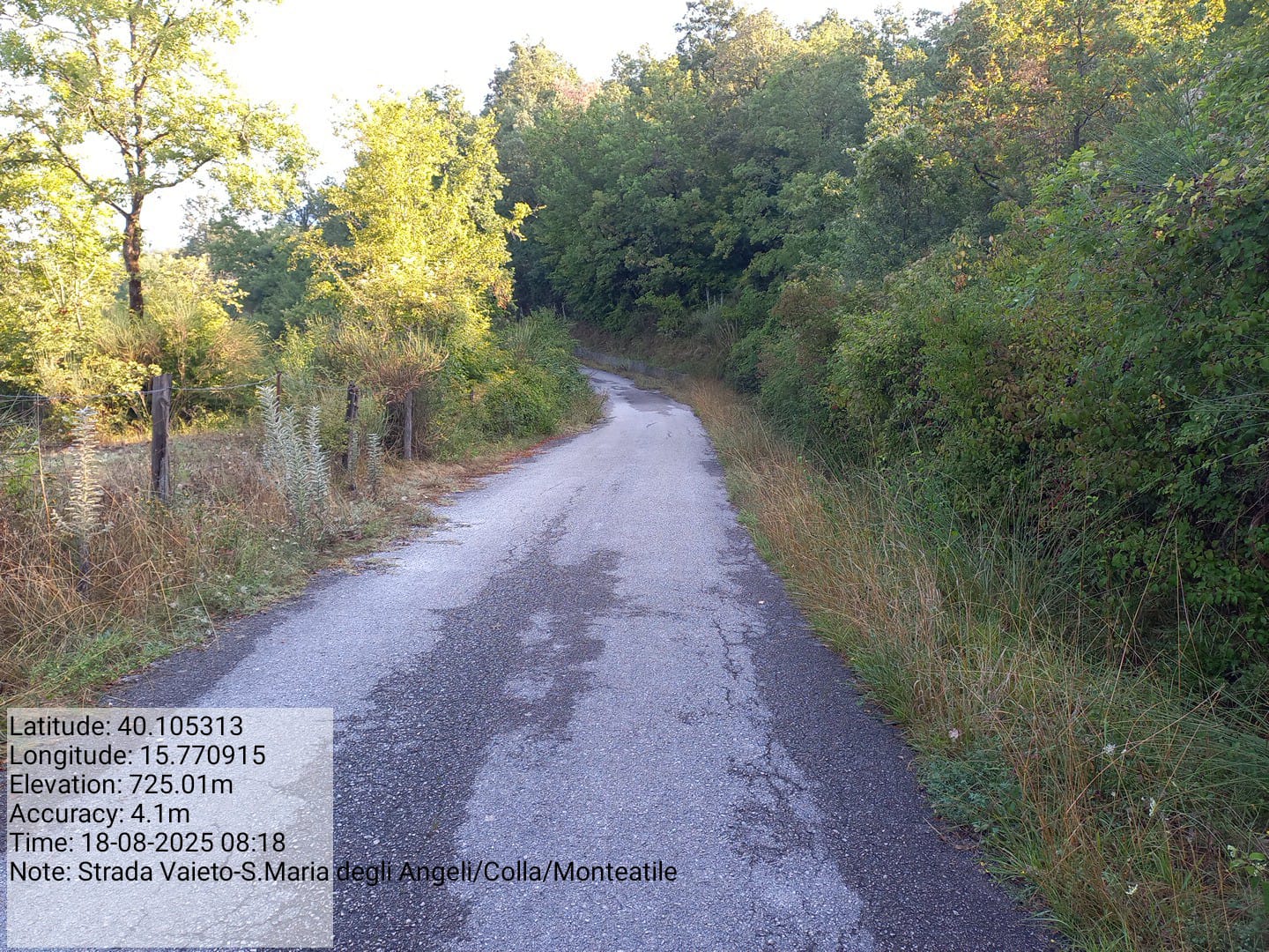 Galleria Fotografica Immagine