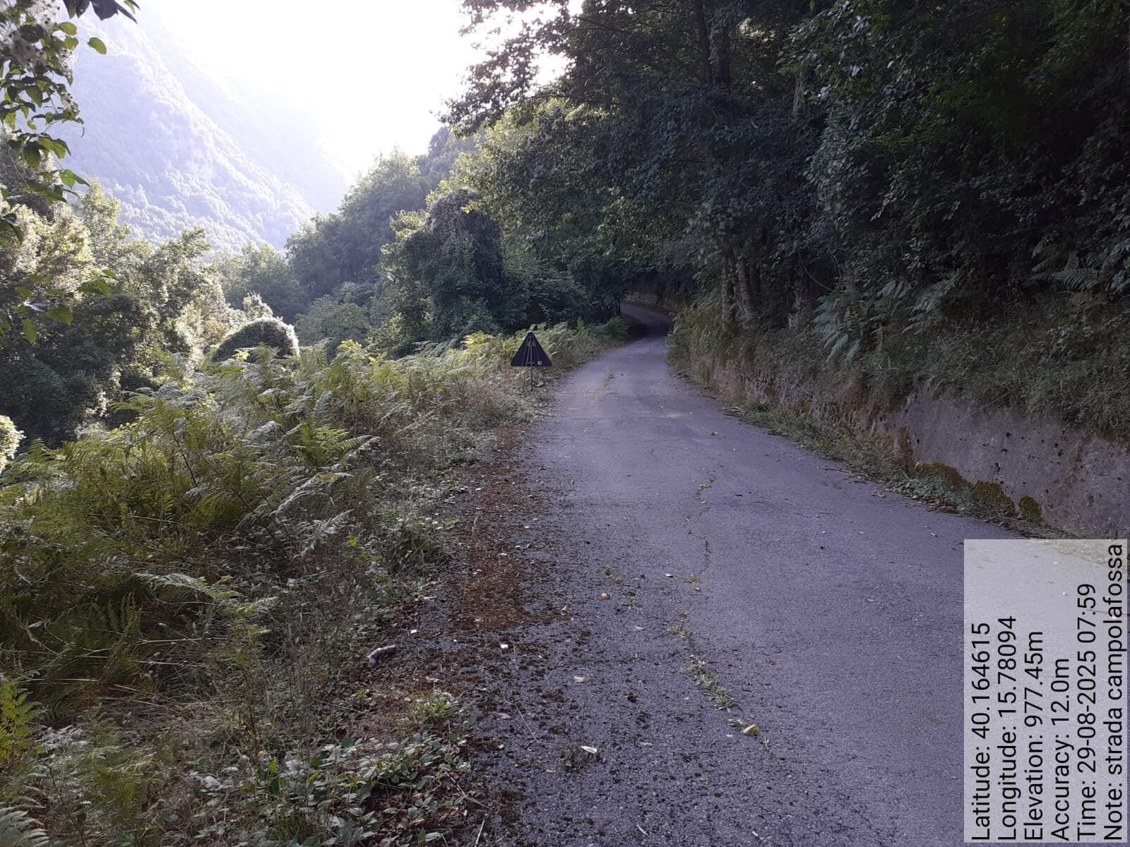 Galleria Fotografica Immagine