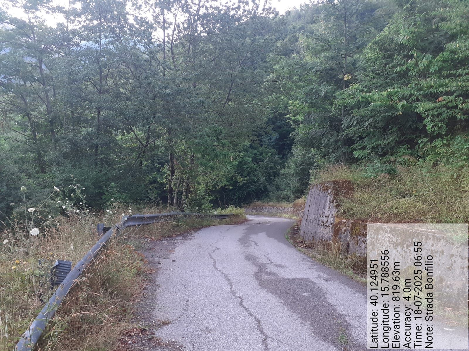 Galleria Fotografica Immagine