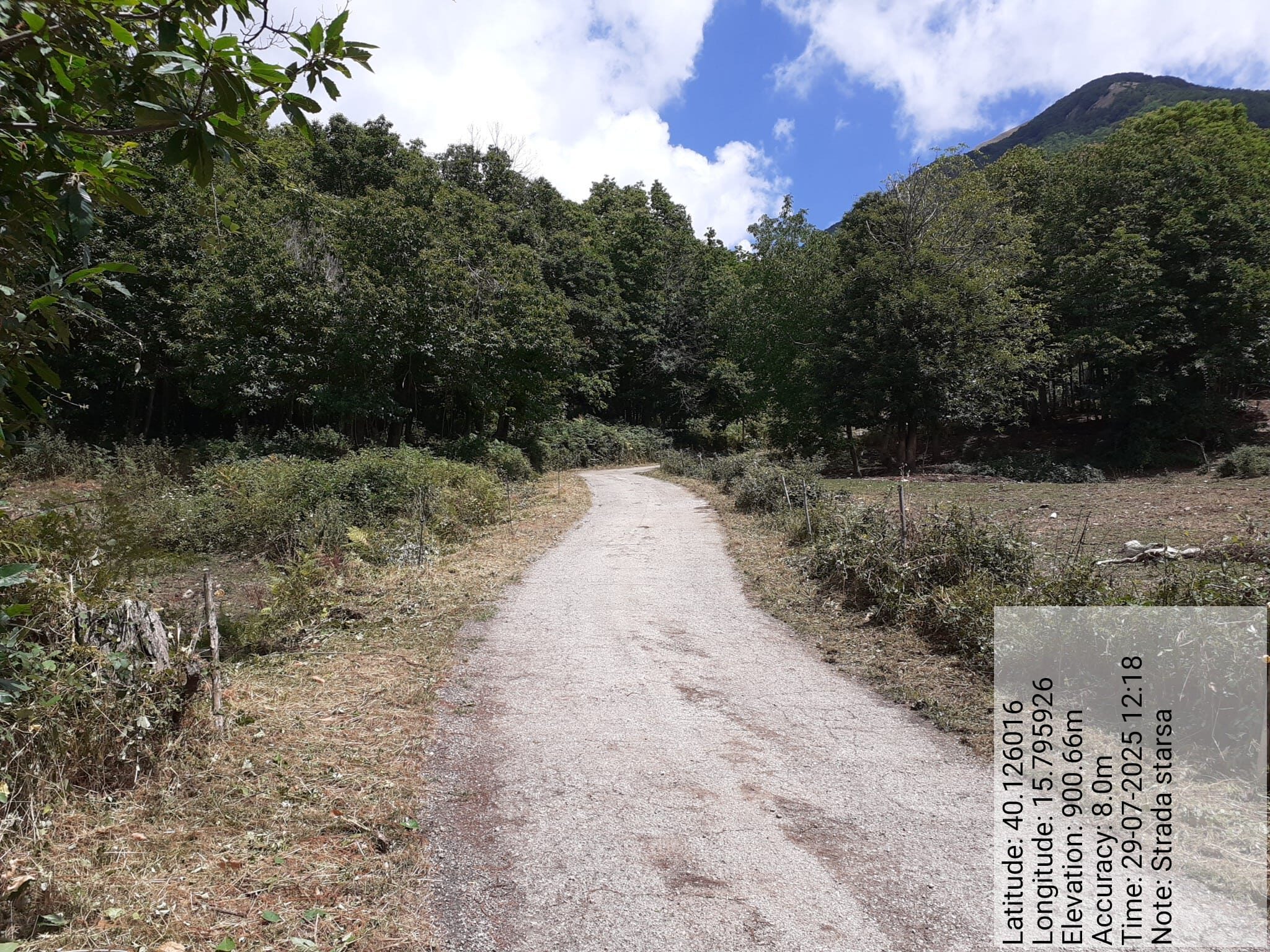 Galleria Fotografica Immagine