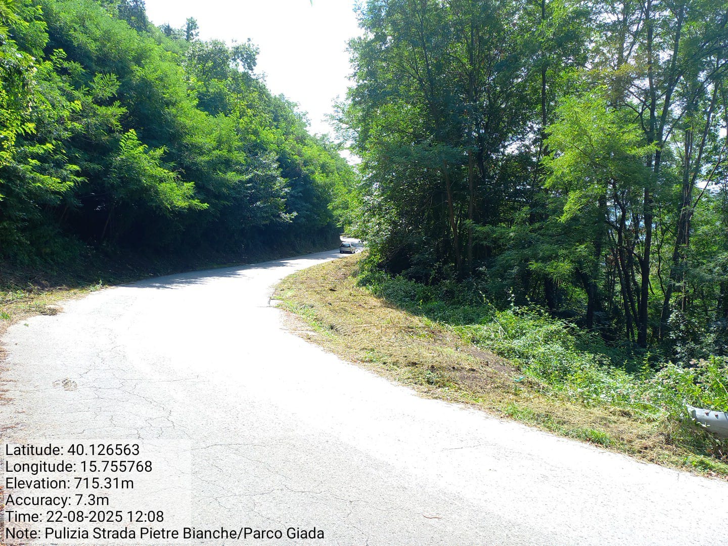 Galleria Fotografica Immagine