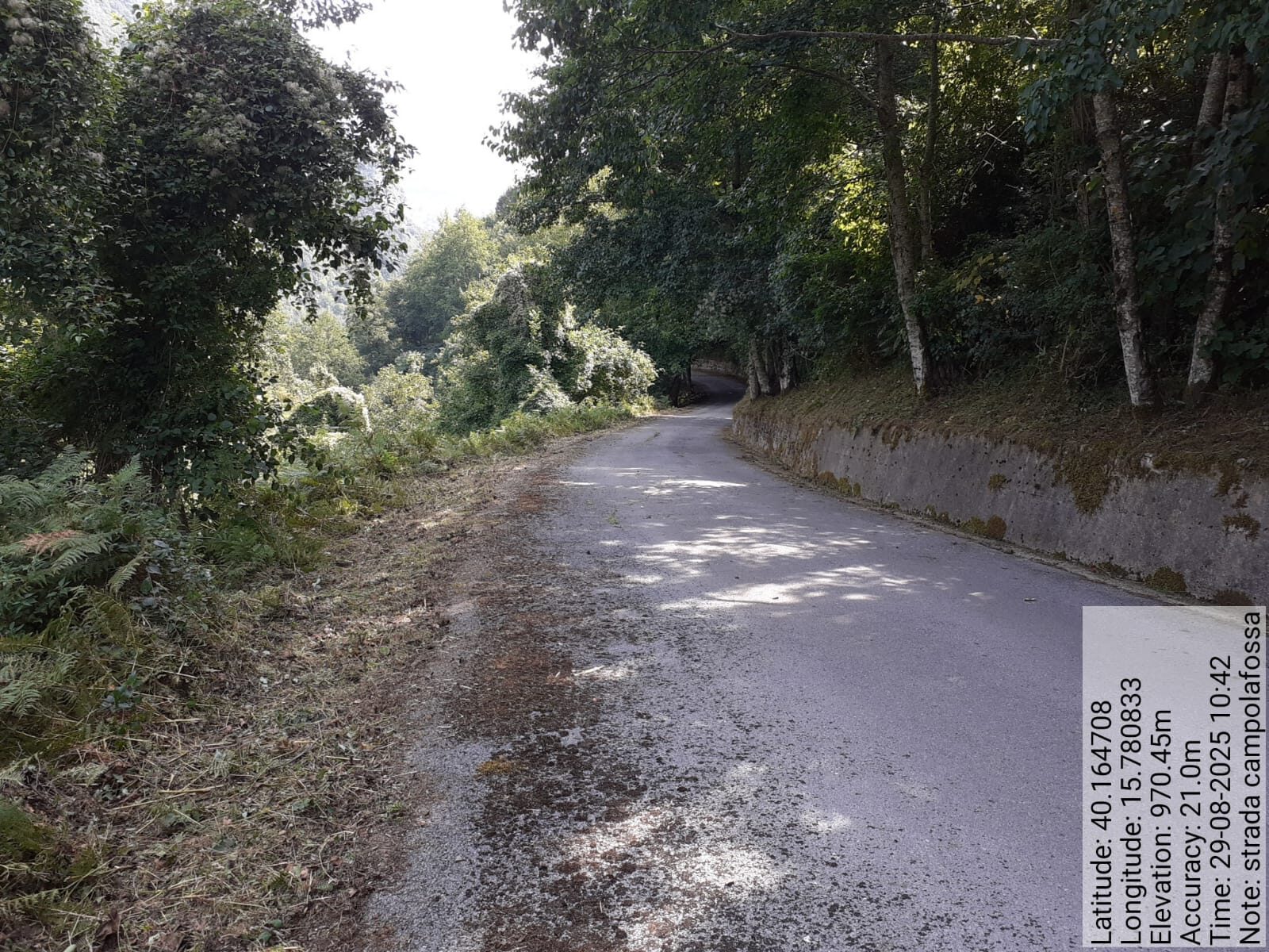 Galleria Fotografica Immagine