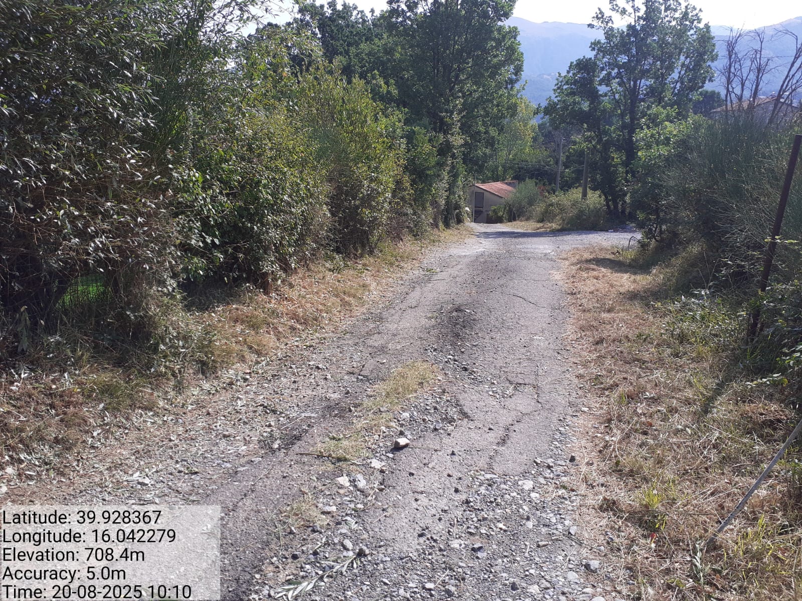 Galleria Fotografica Immagine