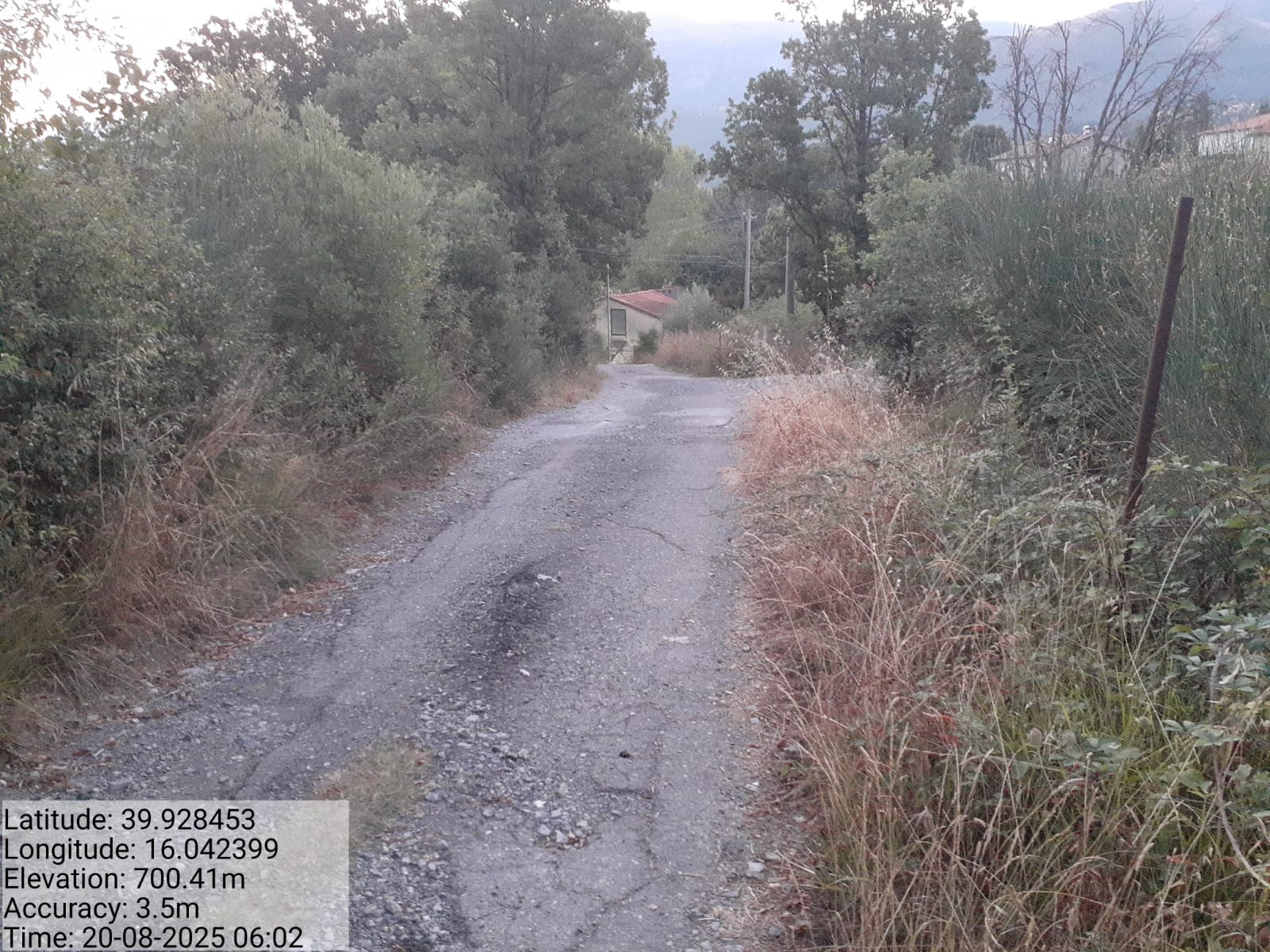 Galleria Fotografica Immagine