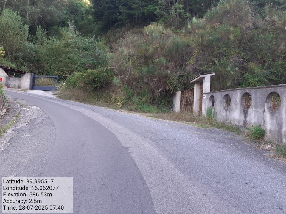 Galleria Fotografica Immagine