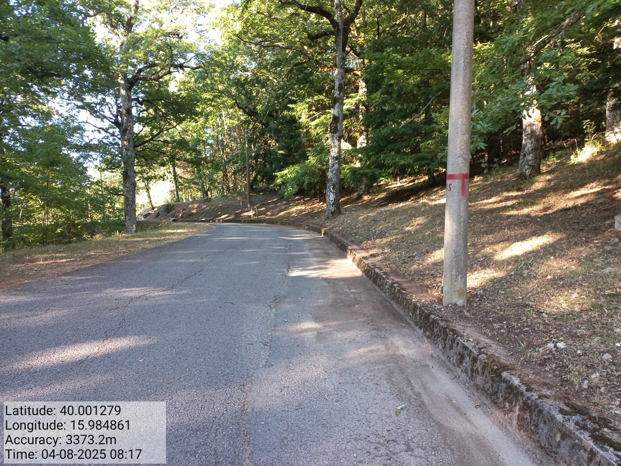 Galleria Fotografica Immagine