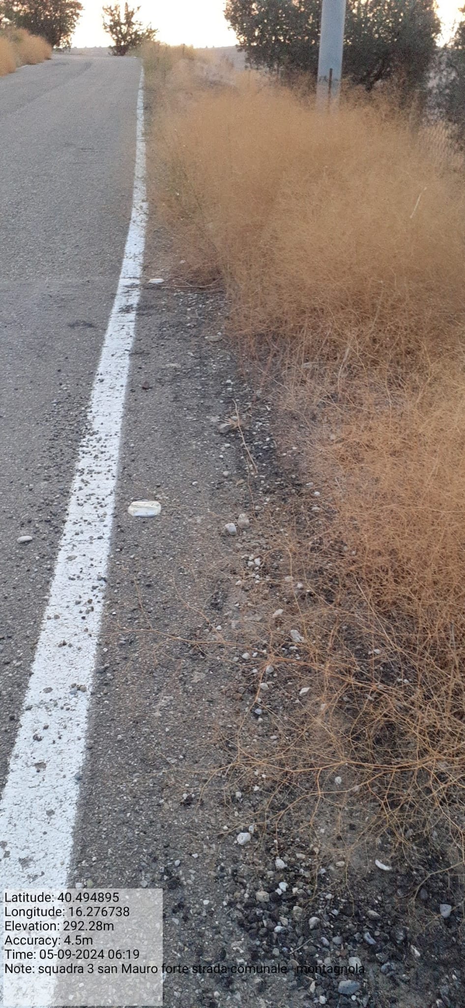 Galleria Fotografica Immagine