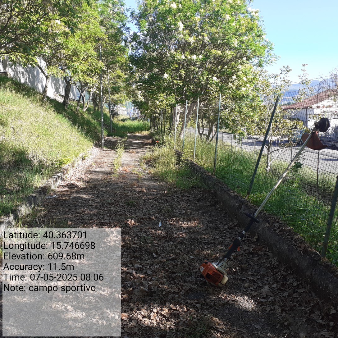 Galleria Fotografica Immagine