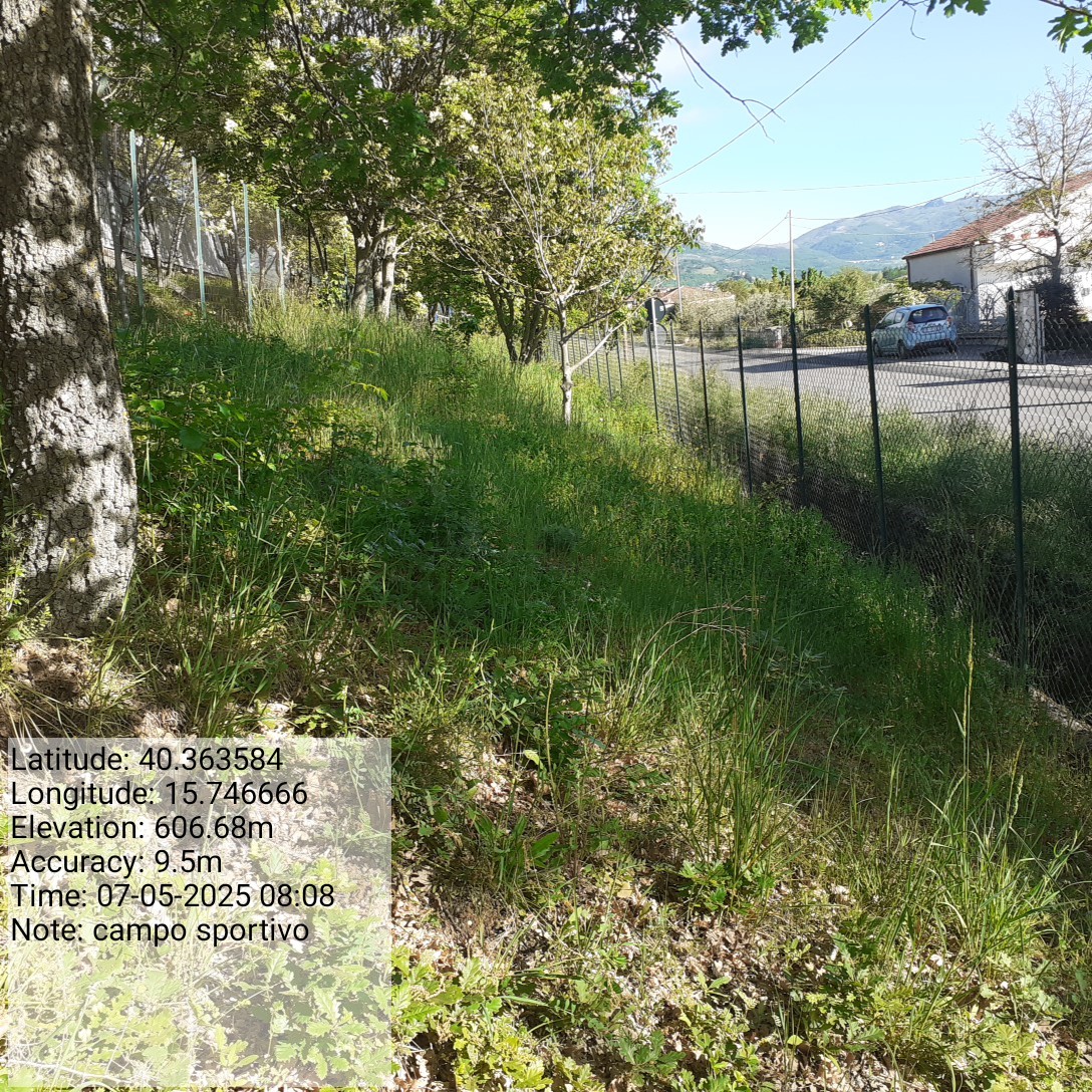 Galleria Fotografica Immagine