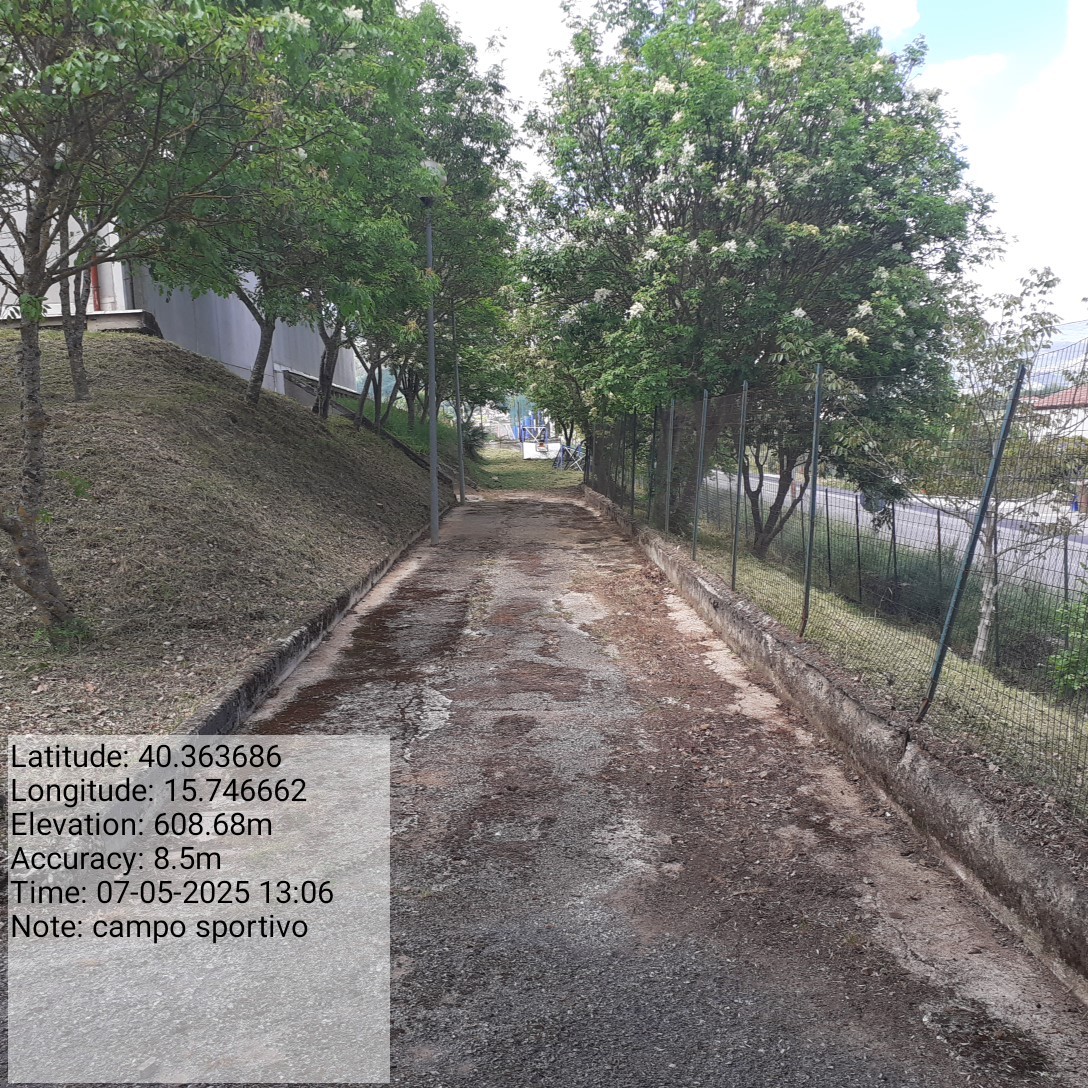 Galleria Fotografica Immagine